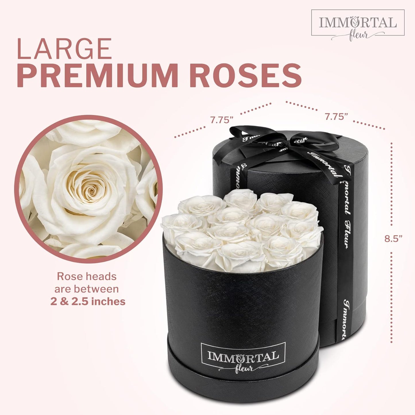 Preserved Roses in a Box, Preserved Flowers, Forever Roses Box, Mom Birthday Gifts from Daughter, Flowers for Delivery Prime Birthday, Sympathy Flowers, White 12