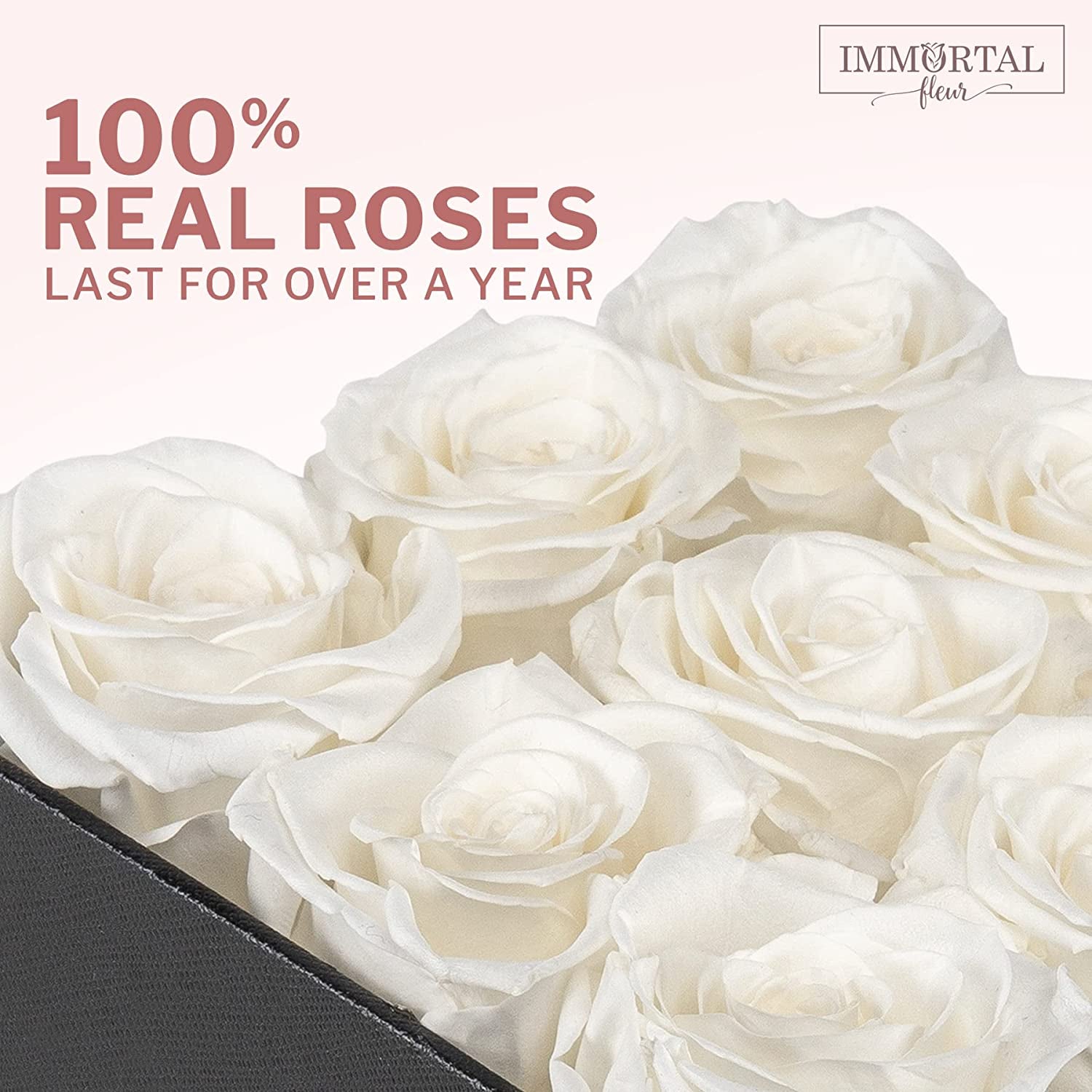 Preserved Roses in a Box, Preserved Flowers, Forever Roses Box, Mom Birthday Gifts from Daughter, Flowers for Delivery Prime Birthday, Sympathy Flowers, White 12