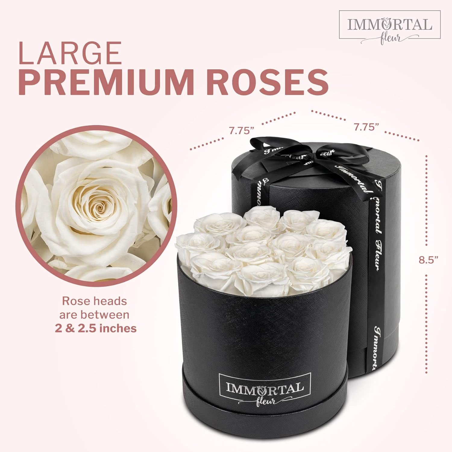 Preserved Roses in a Box, Preserved Flowers, Forever Roses Box, Mom Birthday Gifts from Daughter, Flowers for Delivery Prime Birthday, Sympathy Flowers, White 12